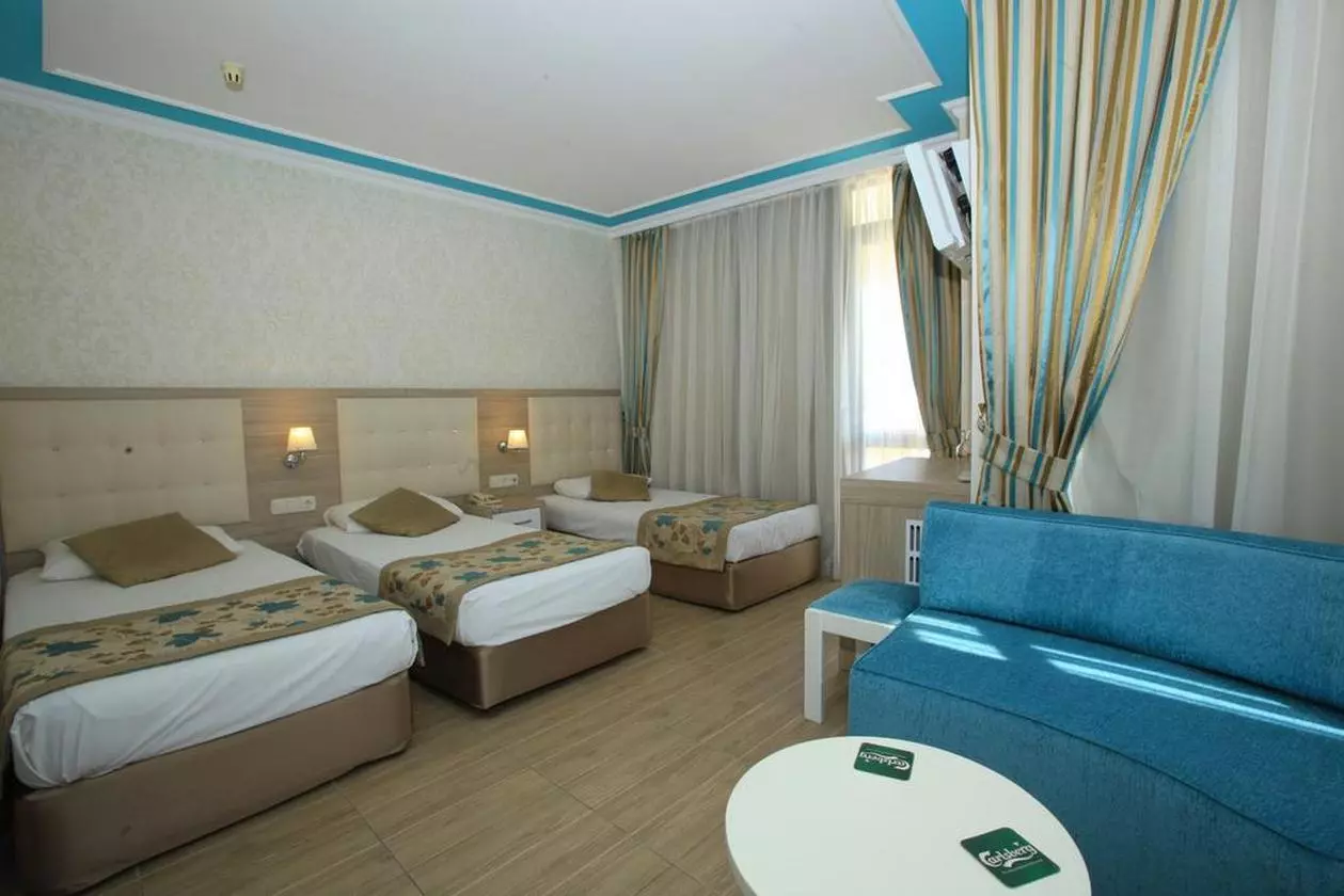 71611CENDER_SHABAVIZ (9).jpg